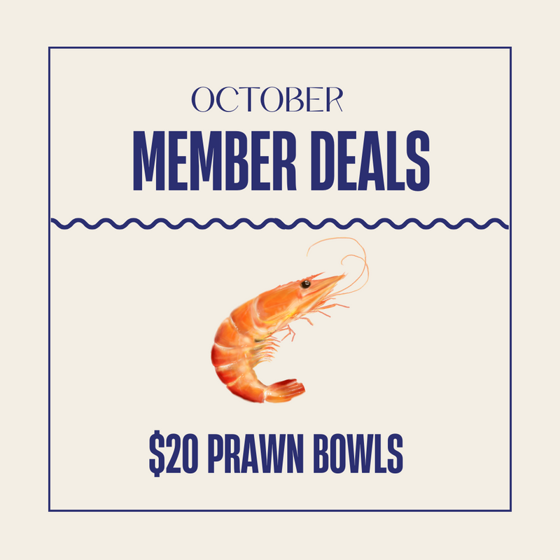 October MEMBER DEALS northerlies